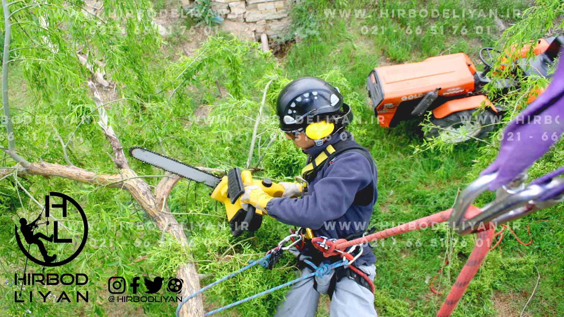 هرس انواع درخت با هر نوع ارتفاع ، با سیستم دسترسی با طناب صنعتی (industrial rope 
              access)
              